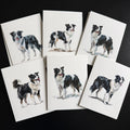 Border Collie Greeting Cards – Pack of 12
