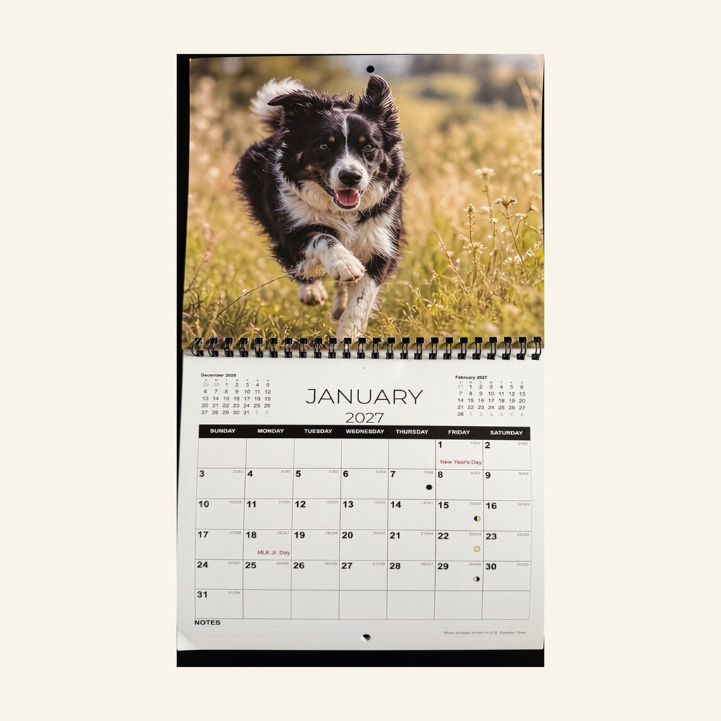 2027 Border Collie Wall Calendar – Imported USA Edition