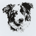 Detailed Border Collie Adhesive Decal