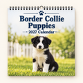 2027 Border Collie Puppies Wall Calendar – Imported USA Edition