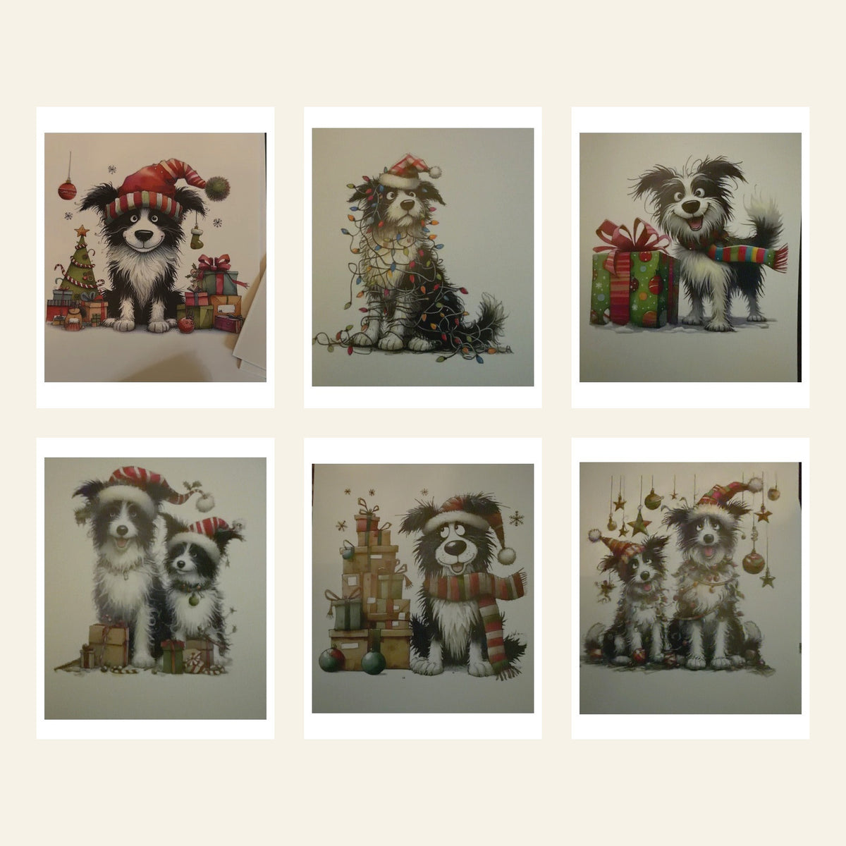 Pack of 12 Border Collie Christmas Cards – 6 Designs
