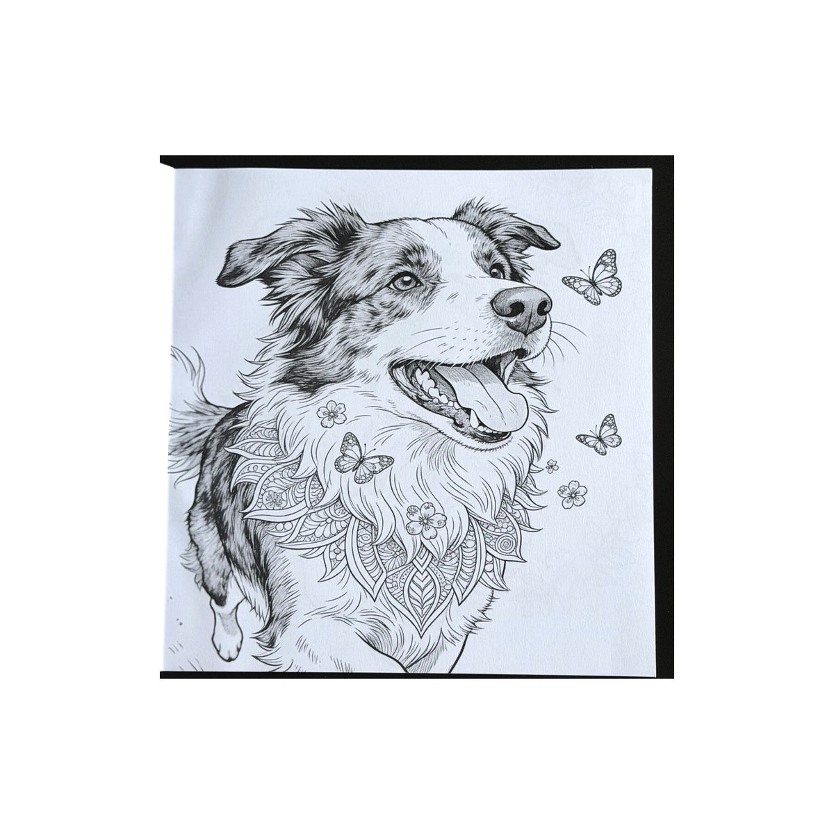 Dog World Colouring Book