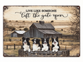 Live Like Someone Left the Gate Open Border Collie Metal Wall Plaque