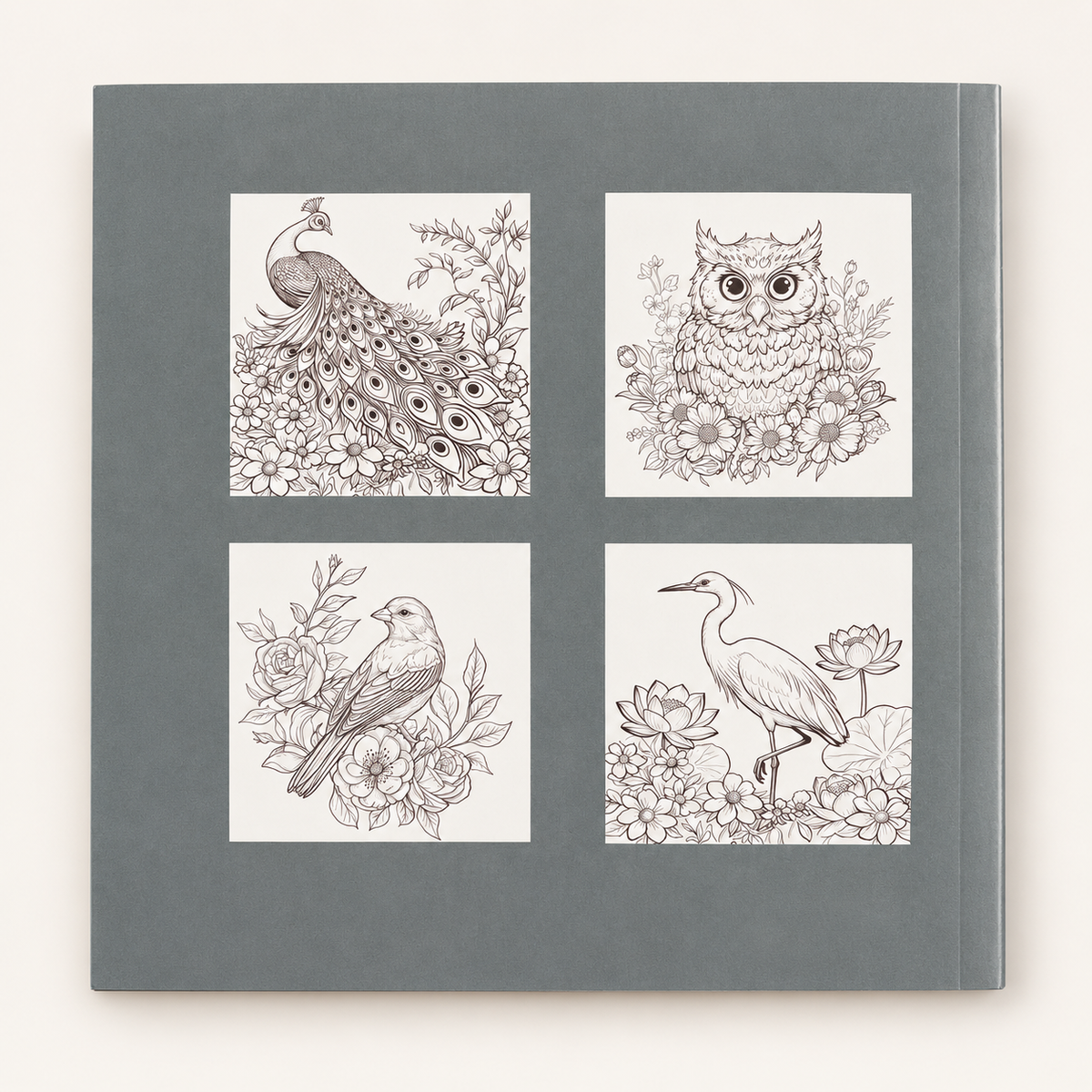 Peacock & Bird Colouring Book